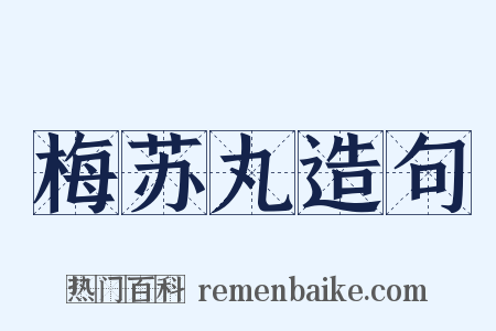 梅苏丸造句是什么意思的图片